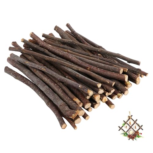 CLISPEED 40 Stück rustikale Wohnkultur lange Stöcke zum Handwerk Jumbo Herstellung dekorative Holzstäbe Stöcke zum Basteln holzstäbchen lange Holzstöcke Bastelholzstab DIY -Handwerk hölzern CLISPEED 40 Stück rustikale Wohnkultur lange Stöcke zum Handwerk Jumbo Herstellung dekorative Holzstäbe Stöcke zum Basteln holzstäbchen lange Holzstöcke Bastelholzstab DIY -Handwerk hölzern von CLISPEED