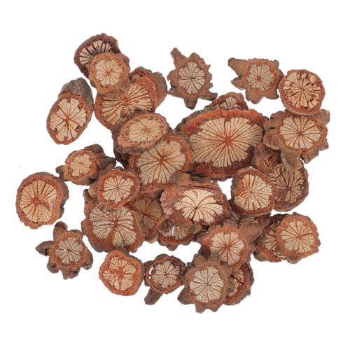 CLISPEED Natürliche Holzchips Dekoration Paket Holzscheiben für DIY Basteln Vintage Kranz Accessoires Rustikal für Handwerk Wohnkultur Weihnachten Tischdeko CLISPEED Natürliche Holzchips Dekoration Paket Holzscheiben für DIY Basteln Vintage Kranz Accessoires Rustikal für Handwerk Wohnkultur Weihnachten Tischdeko von CLISPEED