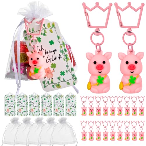 CLTPY 20 Stück Schlüsselanhänger Glücksschweinchen,Gastgeschenke Hochzeit,Dankeschön Geschenke Kommt mit Organza Beutel und Etikettenkarte,Kommunion,Konfirmation und Taufe der Deko von CLTPY