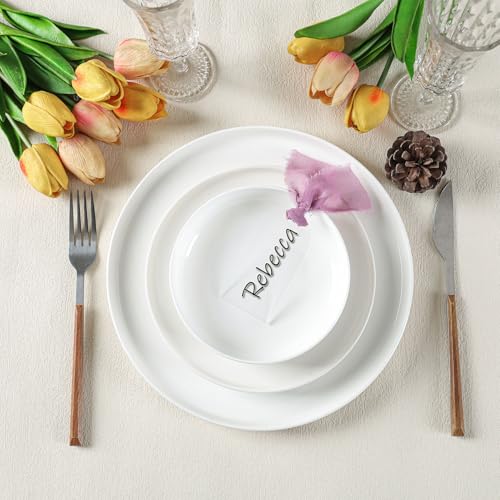 30 Stück Acryl-Tischkarten, Hochzeitsschilder für Stühle, Namensschild, Sitzetikett mit Band für Tischdekoration, Nummern, Gästennamen, Dinnerpartys, 8,9 x 4,5 cm (Trauben) von CLUQMEIK