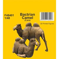 Bactrian Camel (2 pcs) von CMK