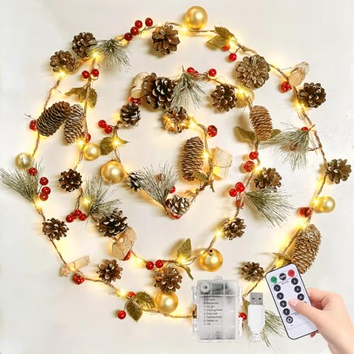 Weihnachtsbeleuchtung, 2M 60 LED lichterkette weihnachten mit tannenzapfen weihnachtsbeleuchtung innen USB/Batterie and 8-Modi Fernbedienung for Kamin, Schlafzimmer, Wand, Baum, Tisch, Outdoor Deko Weihnachtsbeleuchtung, 2M 60 LED lichterkette weihnachten mit tannenzapfen weihnachtsbeleuchtung innen USB/Batterie and 8-Modi Fernbedienung for Kamin, Schlafzimmer, Wand, Baum, Tisch, Outdoor Deko von CMYK