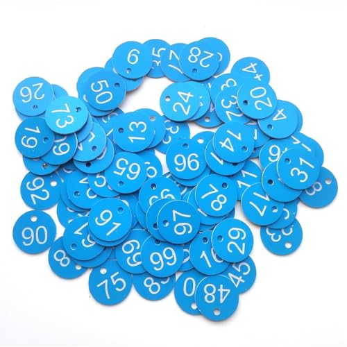 500 Stück 1–500 Schlüsselhandkarten, Nummernschilder, gravierte Etiketten, Schrankcodierung, Aufbewahrungsorganisator, wiederverwendbare Kunststoff-Identifikationsmarken(1-500 Sky Blue White) von CNYUON