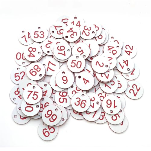 500 Stück 1–500 Schlüsselhandkarten, Nummernschilder, gravierte Etiketten, Schrankcodierung, Aufbewahrungsorganisator, wiederverwendbare Kunststoff-Identifikationsmarken(1-500 Withe Red) von CNYUON