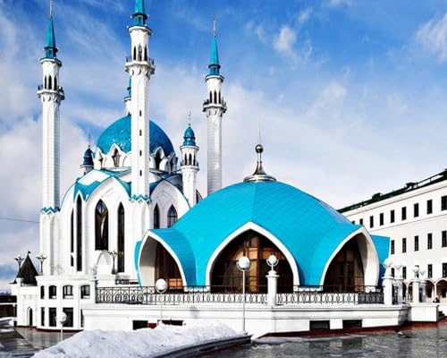 COKYIS Kreuzstich Stickpackungen Vorgedruckt islamische Moschee 11CT Stickbild Stickvorlage DIY Stickset für Anfänger Home Decor 40x50cm von COKYIS
