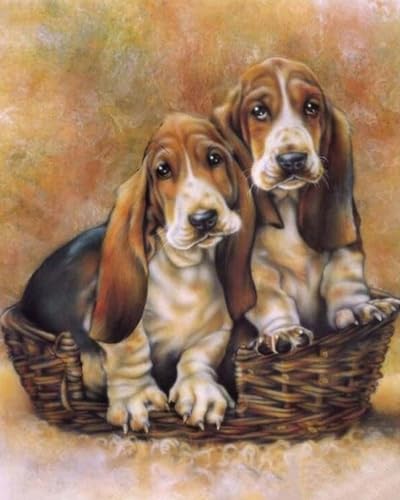 COKYIS Vorgedruckt Kreuzstich Stickpackungen Basset 11CT Stickbild Stickvorlage DIY Stickset für Anfänger Home Decor 40x50cm von COKYIS