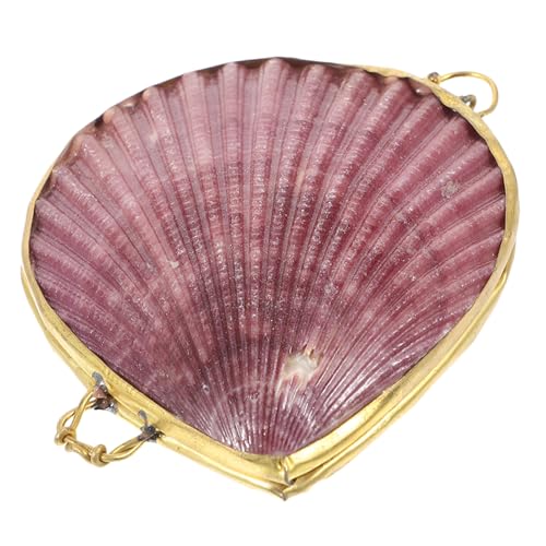 COLLBATH Aufbewahrungsbox Für Muscheln Mehrere Natürliche Einzigartige Kleine Schmuckstücke Organizer Mit Schmucksteinen Süße Muscheln Winzige Muscheln Zufällige Farbe COLLBATH Aufbewahrungsbox Für Muscheln Mehrere Natürliche Einzigartige Kleine Schmuckstücke Organizer Mit Schmucksteinen Süße Muscheln Winzige Muscheln Zufällige Farbe von COLLBATH