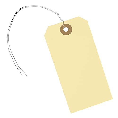 180 Stück Blanko-Hängeetiketten mit Draht, 11,4 x 7,5 cm, Etikett zum Aufhängen mit verstärktem Loch und Metalldraht, beschreibbare Preisschilder für Produktschmuck, Bekleidungsanhänger 180 Stück Blanko-Hängeetiketten mit Draht, 11,4 x 7,5 cm, Etikett zum Aufhängen mit verstärktem Loch und Metalldraht, beschreibbare Preisschilder für Produktschmuck, Bekleidungsanhänger von COLOGO