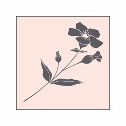 Stempel Wildblume nude 45x45mm Stempel Wildblume nude 45x45mm von May&Berry