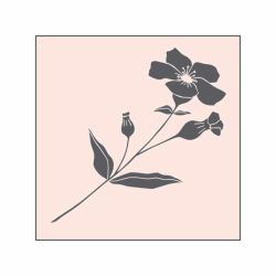 Stempel Wildblume nude 45x45mm von May&Berry