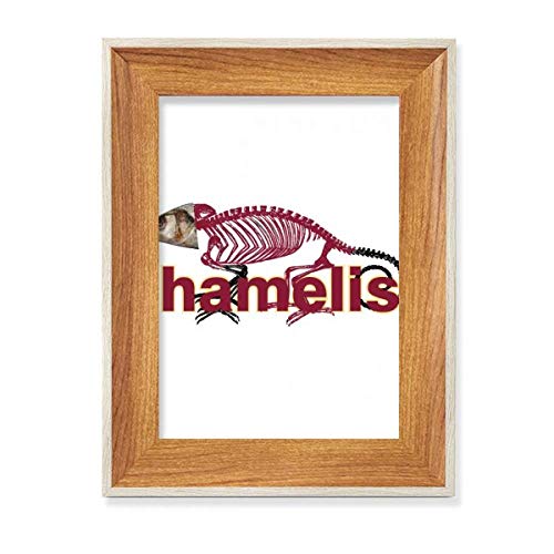 Schreibtisch-Bilderrahmen aus Holz, für Bild, Kunst, Malerei, mehrere Sets von COMP