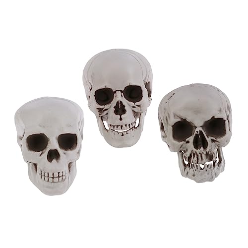 CONGARTENO 3 Stück Teiliges Halloween Schädel Deko aus Kunststoff Realistische Simulation Gruselige Tischdekoration für Haunted House Partys und Karneval Stabile und Tragbare Halloween Deko von CONGARTENO