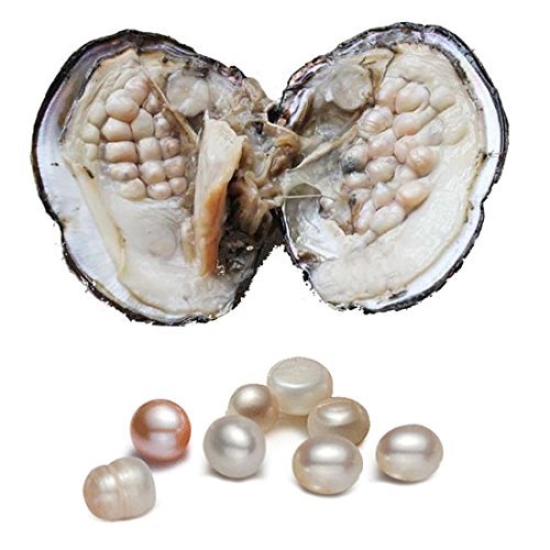 Ovale Süßwasser-Zuchtperle mit Perle im Inneren, 5–7 mm, ca. 18 Perlen, Geburtstagsparty, Jahrestag von COOCLE
