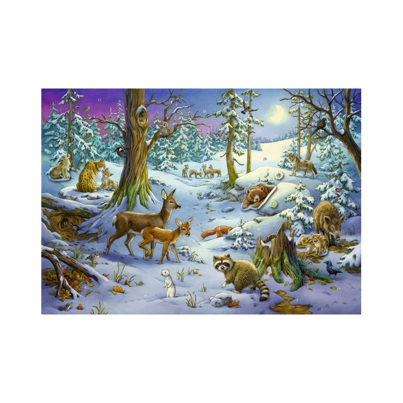 Sticker-Adventskalender "Tiere Im Winterwald" 2023 Von Coppenrath von COPPENRATH VERLAG