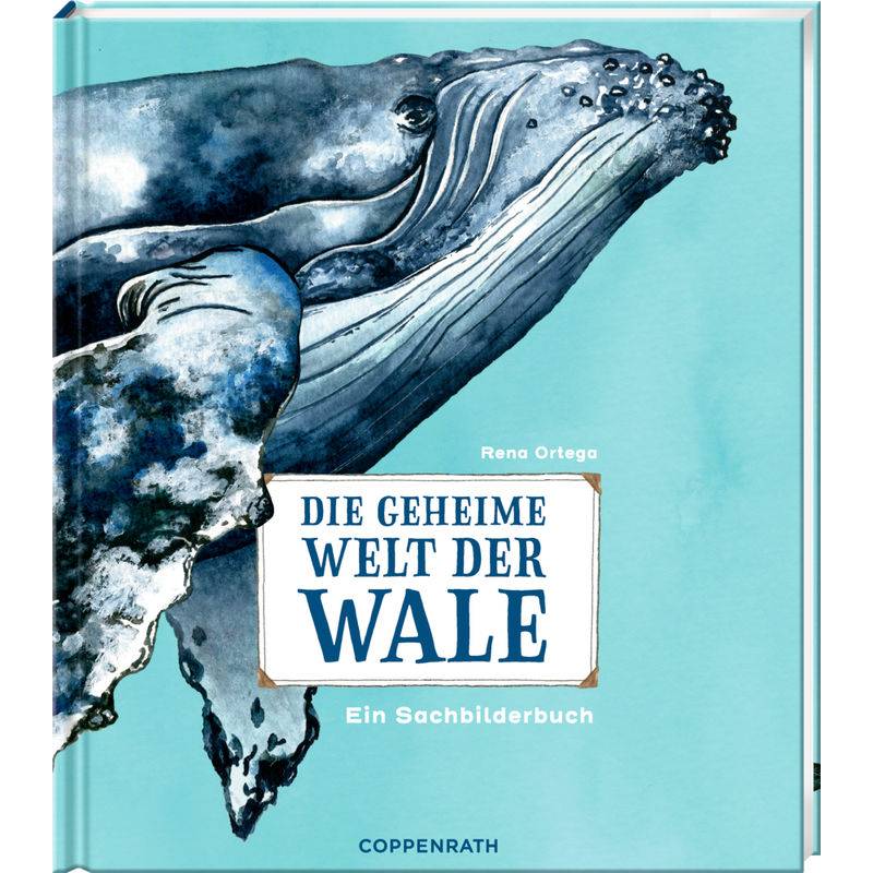 Die Geheime Welt Der Wale - Rena Ortega, Gebunden von Coppenrath, Münster