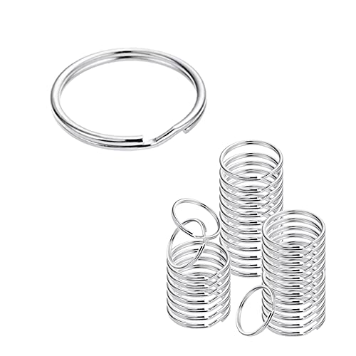 CORTNEY 100 Stück Kleine Schlüsselringe, 15 mm Silberfarbene, Runde Metallspaltringe für die Organisation von Schlüsseln zu Hause und zum DIY Basteln CORTNEY 100 Stück Kleine Schlüsselringe, 15 mm Silberfarbene, Runde Metallspaltringe für die Organisation von Schlüsseln zu Hause und zum DIY Basteln von CORTNEY