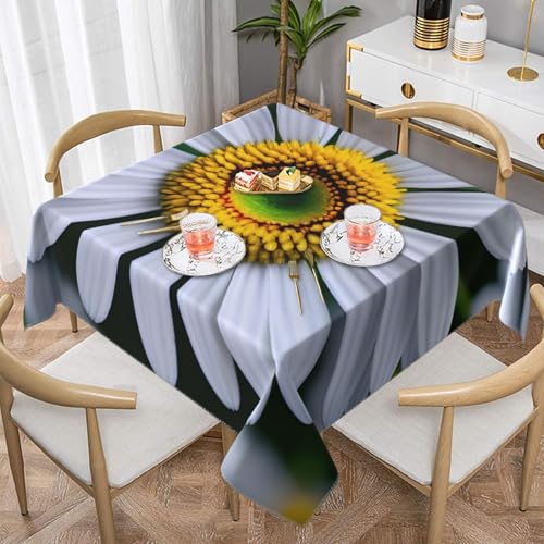 CPyuqw Quadratische Tischdecke mit Gänseblümchen-Motiv, wasserabweisend, strapazierfähig, für den Innen- und Außenbereich CPyuqw Quadratische Tischdecke mit Gänseblümchen-Motiv, wasserabweisend, strapazierfähig, für den Innen- und Außenbereich von CPyuqw