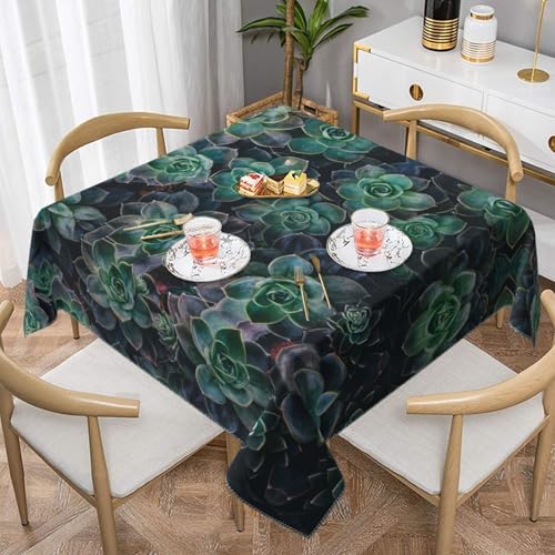 CPyuqw Quadratische Tischdecke mit grünem Sukkulenten-Druck, wasserabweisend, strapazierfähig, Esstischabdeckung für den Innen- und Außenbereich CPyuqw Quadratische Tischdecke mit grünem Sukkulenten-Druck, wasserabweisend, strapazierfähig, Esstischabdeckung für den Innen- und Außenbereich von CPyuqw