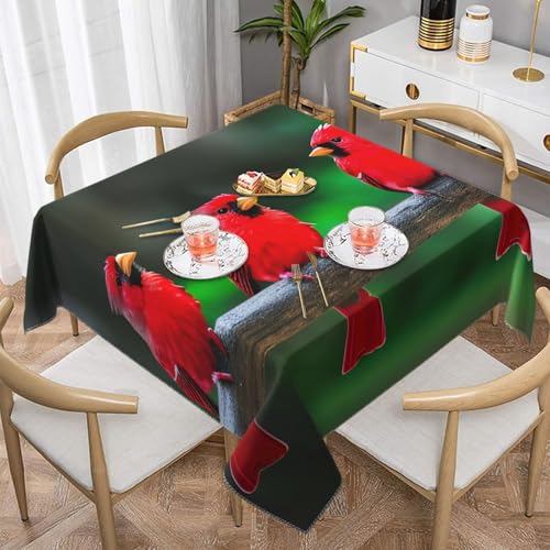 CPyuqw Rote niedliche Vögel, eleganter Druck, quadratisch, Tischdecke, wasserabweisend, strapazierfähig, Esstischabdeckung für den Innen- und Außenbereich von CPyuqw