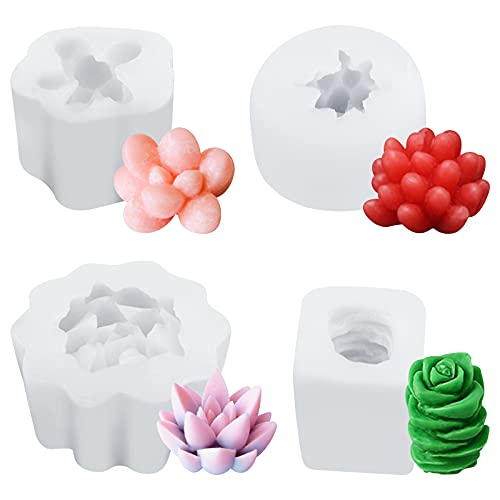 CRAFFANCY Silikonform, Set von 4 Mini-Pflanzen-Silikonform für Sukkulenten, Dekoration, für handgefertigte Sukkulenten, DIY, Seife, Ton, Sukkulenten CRAFFANCY Silikonform, Set von 4 Mini-Pflanzen-Silikonform für Sukkulenten, Dekoration, für handgefertigte Sukkulenten, DIY, Seife, Ton, Sukkulenten von CRAFFANCY