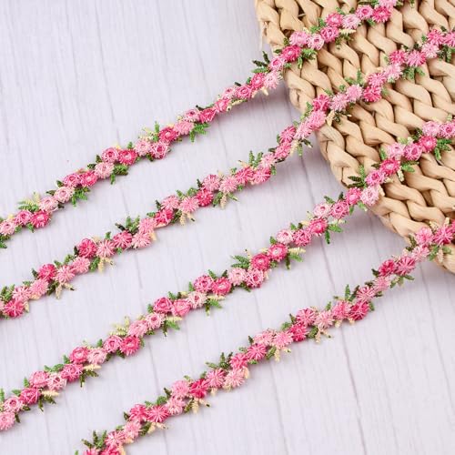 CRAFFANCY Spitzenborte mit Rosen, 9,1 m lang, Blumenstickerei, Spitzenbesatz für Kleider, Nähen, Basteln, Hochzeit, Brautschmuck von CRAFFANCY