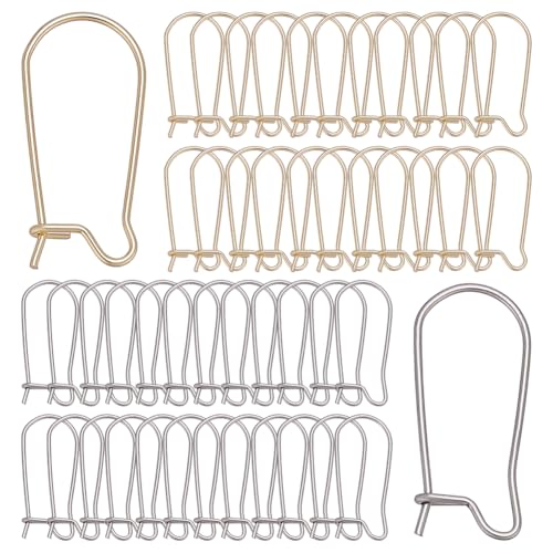 CRAFTYMELODY 170 Stück 2 Stile 18K Vergoldete Ohrringhaken Edelstahl Ohrhaken Creolen Ohrhaken Tropfen Ohrringe Lange Ohrringe von CRAFTYMELODY