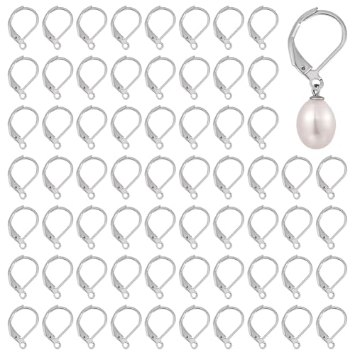 CRAFTYMELODY 250 Stück Französische Leverback Ohrringhaken. 10x15mm Lever Back Ohrring Befunde Edelstahl Ohrverschlüsse Ohrhaken Ohrhaken CRAFTYMELODY 250 Stück Französische Leverback Ohrringhaken. 10x15mm Lever Back Ohrring Befunde Edelstahl Ohrverschlüsse Ohrhaken Ohrhaken von CRAFTYMELODY