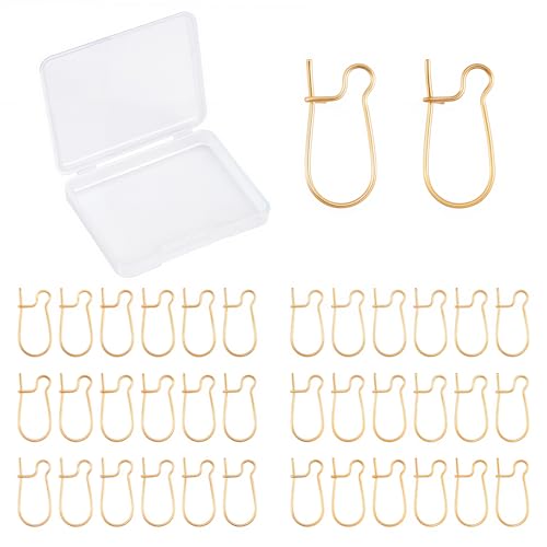 CREATCABIN 1 Box 100 Stück Nieren-Ohr-Drähte 18 Karat Vergoldet U-Förmige Ohrring-Haken Ohrring-Komponenten Lange Ohrringe DIY Schmuckherstellung 9 x 19 mm von CREATCABIN