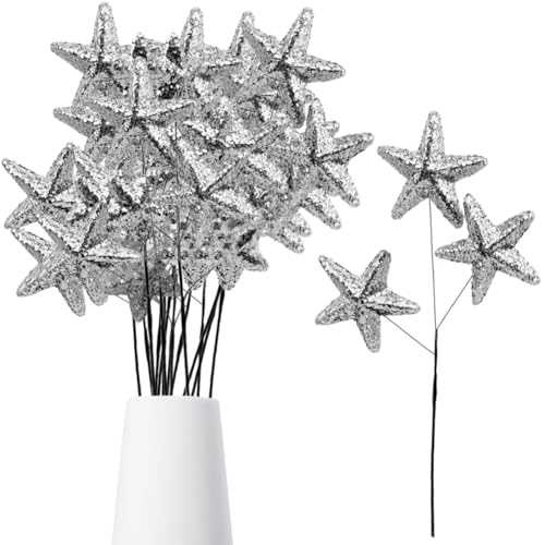 CREATCABIN 24 Stück Silberne Stern Mittelstücke Glitzerstern Pick Schaumstoff Funkelndes Pentagramm Vasenfüller Tischdekorations Picks Für Weihnachtsbaum Hochzeit Geburtstag Party 23.6x8.9 à 9.5x1.7cm CREATCABIN 24 Stück Silberne Stern Mittelstücke Glitzerstern Pick Schaumstoff Funkelndes Pentagramm Vasenfüller Tischdekorations Picks Für Weihnachtsbaum Hochzeit Geburtstag Party 23.6x8.9 à 9.5x1.7cm von CREATCABIN