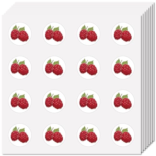CREATCABIN 8 Stück Himbeer Kreis Cartoon Aufkleber In Großen Mengen Selbstklebende Bildaufkleber wasserdichte Klebrige Runde Punktetiketten Dekorative Kreismarkierungsetiketten Für Homeoffice 2.5cm von CREATCABIN