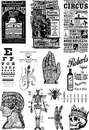 Creative Expressions CEAST001 Transferpapier, gemischte Medien, Alchemy Plus, 3 Stück von CREATIVE EXPRESSIONS 3PL