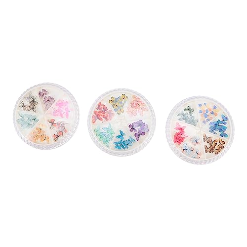 CRILSTYLEO 3 Boxen Schmetterlinge Nagel Dekorationen Boxen Kreative Nail Art Aufkleber für DIY Nagelkunst Geeignet für Verschiedene Anlässe und Persönliche Gestaltung CRILSTYLEO 3 Boxen Schmetterlinge Nagel Dekorationen Boxen Kreative Nail Art Aufkleber für DIY Nagelkunst Geeignet für Verschiedene Anlässe und Persönliche Gestaltung von CRILSTYLEO