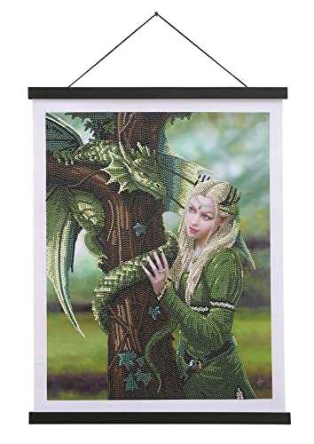 CRYSTAL ART Set Poster mit Diamanten, 35 x 45 cm, Anne Stokes Magier von CRYSTAL ART