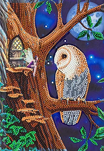 Craft Buddy Crystal Art CANJ-1 Eule und Feenbaum, Crystal Art Notebook, Mehrfarbig Craft Buddy Crystal Art CANJ-1 Eule und Feenbaum, Crystal Art Notebook, Mehrfarbig von CRYSTAL ART