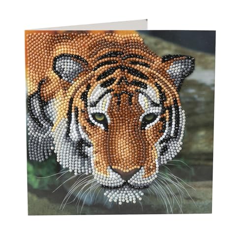 Craft Buddy Crystal Art CCK-A40 Schmetterling, 18x18cm Kristallkunstkarte, Mehrfarbig Craft Buddy Crystal Art CCK-A40 Schmetterling, 18x18cm Kristallkunstkarte, Mehrfarbig von CRYSTAL ART