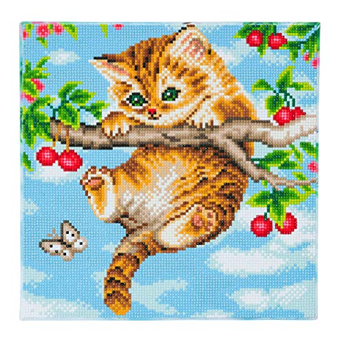 Crystal Art CAK-A73 30x30cm Framed Kits, Multicolor von CRYSTAL ART