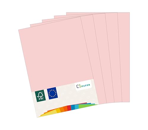 MADE IN EU 20 Blatt farbiges Papier ROSA A4 80 g/m² CS Paper - Druckerpapier, Kopierpapier, Universalpapier zum Drucken, Basteln & Falten im Format DIN A4. Papier für den Heim- & Bürobedarf von CS Webkontor