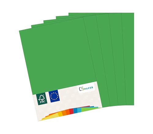 MADE IN EU 10 Blatt Bastelkarton GRASGRÜN A4 210 g/m² CS Paper - Bastelpapier, Fotokarton, Tonpapier zum Basteln, Falten und Zeichnen im Format DIN A4. Farbkarton für den Heim- & Bürobedarf von CS Webkontor