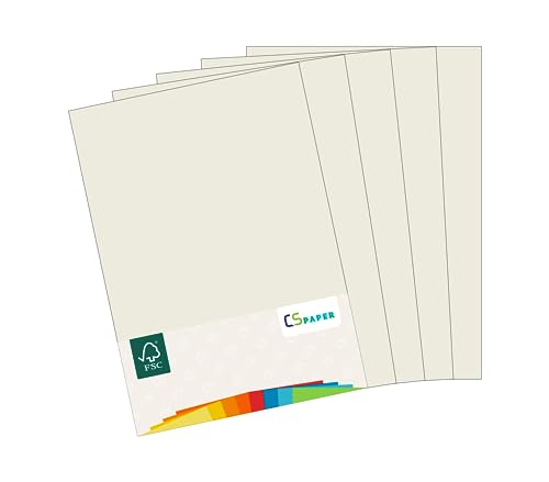 MADE IN EU 180 Blatt farbiges Papier EISGRAU A4 80 g/m² CS Paper - Druckerpapier, Kopierpapier, Universalpapier zum Drucken, Basteln & Falten im Format DIN A4. Papier für den Heim- & Bürobedarf von CS Webkontor