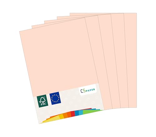 MADE IN EU 180 Blatt farbiges Papier LACHS A4 80 g/m² CS Paper - Druckerpapier, Kopierpapier, Universalpapier zum Drucken, Basteln & Falten im Format DIN A4. Papier für den Heim- & Bürobedarf von CS Webkontor