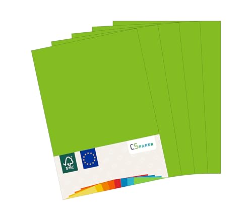 MADE IN EU 5 Blatt Bastelkarton GRÜN A4 210 g/m² CS Paper - Bastelpapier, Fotokarton, Tonpapier zum Basteln, Falten und Zeichnen im Format DIN A4. Farbkarton für den Heim- & Bürobedarf von CS Webkontor