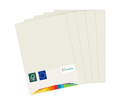 MADE IN EU 50 Blatt farbiges Papier EISGRAU A4 80 g/m² CS Paper - Druckerpapier, Kopierpapier, Universalpapier zum Drucken, Basteln & Falten im Format DIN A4. Papier für den Heim- & Bürobedarf von CS Webkontor