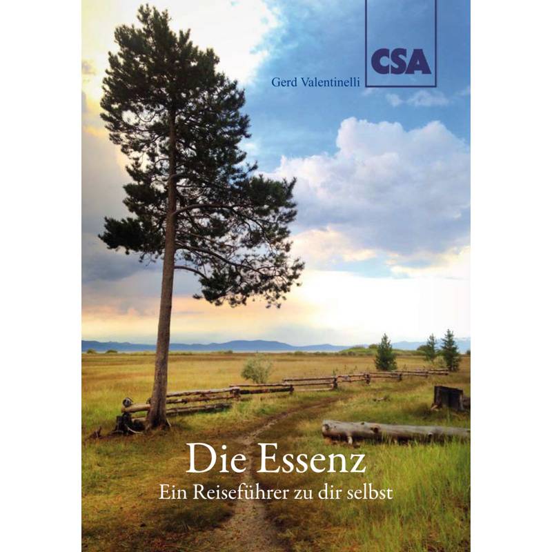 Die Essenz - Gerd Valentinelli, Kartoniert (TB) von CSA Neu-Anspach