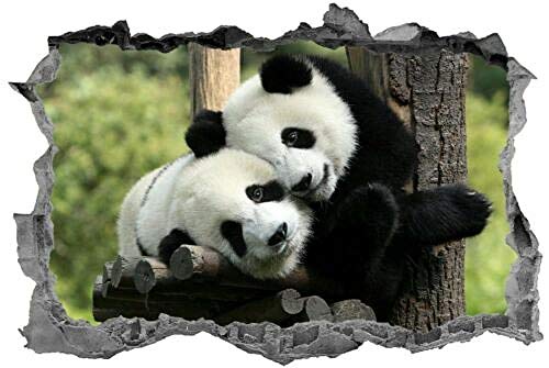 Wandtattoo"Panda, Aufkleber, Tiere, Pandabär, 3d, Wandkunst, Abziehbild, Wandbild" Dekoartikel von CSCH