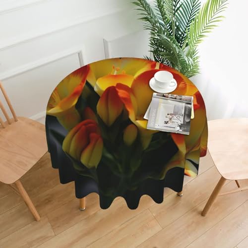 CSGJMYGS Freesia Tischdecke mit schönem Pflanzen-Blumendruck, auslaufsicher, wasserfest, dekorative Stoff-Tischdecke für Zuhause, Küche, Innen- und Außenbereich, Esstisch, 152,4 cm CSGJMYGS Freesia Tischdecke mit schönem Pflanzen-Blumendruck, auslaufsicher, wasserfest, dekorative Stoff-Tischdecke für Zuhause, Küche, Innen- und Außenbereich, Esstisch, 152,4 cm von CSGJMYGS