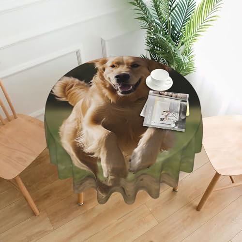 CSGJMYGS Golden Retriever Tischdecke, auslaufsicher, wasserfest, dekorative Stoff-Tischdecke für Zuhause, Küche, Innen- und Außenbereich, Esstisch, 152,4 cm CSGJMYGS Golden Retriever Tischdecke, auslaufsicher, wasserfest, dekorative Stoff-Tischdecke für Zuhause, Küche, Innen- und Außenbereich, Esstisch, 152,4 cm von CSGJMYGS