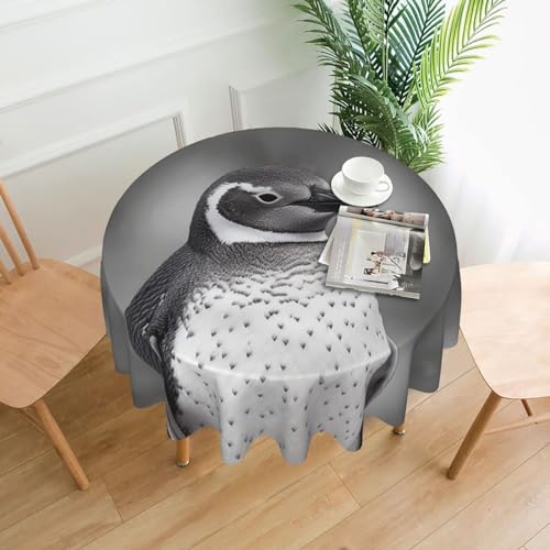 CSGJMYGS Graue Tischdecke mit Pinguin-Druck, auslaufsicher, wasserfest, dekorative Stoff-Tischdecke für Zuhause, Küche, Innen- und Außenbereich, Esstisch, 152,4 cm CSGJMYGS Graue Tischdecke mit Pinguin-Druck, auslaufsicher, wasserfest, dekorative Stoff-Tischdecke für Zuhause, Küche, Innen- und Außenbereich, Esstisch, 152,4 cm von CSGJMYGS