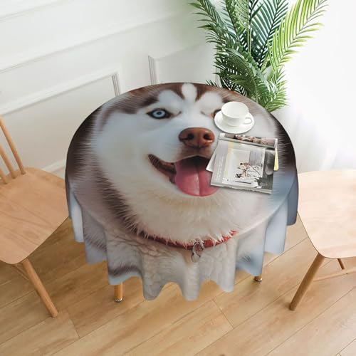 CSGJMYGS Husky Tischdecke mit pikantem Hundemotiv, auslaufsicher, wasserfest, dekorative Stoff-Tischdecke für Zuhause, Küche, Innen- und Außenbereich, Esstisch, 152,4 cm CSGJMYGS Husky Tischdecke mit pikantem Hundemotiv, auslaufsicher, wasserfest, dekorative Stoff-Tischdecke für Zuhause, Küche, Innen- und Außenbereich, Esstisch, 152,4 cm von CSGJMYGS