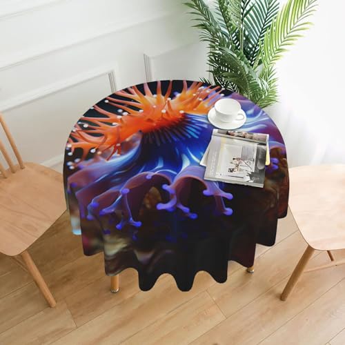 CSGJMYGS Nudibranch Tischdecke mit Druck, auslaufsicher, wasserfest, dekorative Stoff-Tischdecke für Zuhause, Küche, Innen- und Außenbereich, Esstisch, 152,4 cm von CSGJMYGS