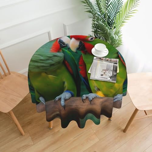 CSGJMYGS Tischdecke mit Aufdruck "Two Parrots Love Each Other", auslaufsicher, wasserfest, dekorative Stoff-Tischdecke für Zuhause, Küche, Innen- und Außenbereich, Esstisch, 152,4 cm CSGJMYGS Tischdecke mit Aufdruck "Two Parrots Love Each Other", auslaufsicher, wasserfest, dekorative Stoff-Tischdecke für Zuhause, Küche, Innen- und Außenbereich, Esstisch, 152,4 cm von CSGJMYGS